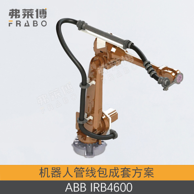 ABB-IRB4600管线包